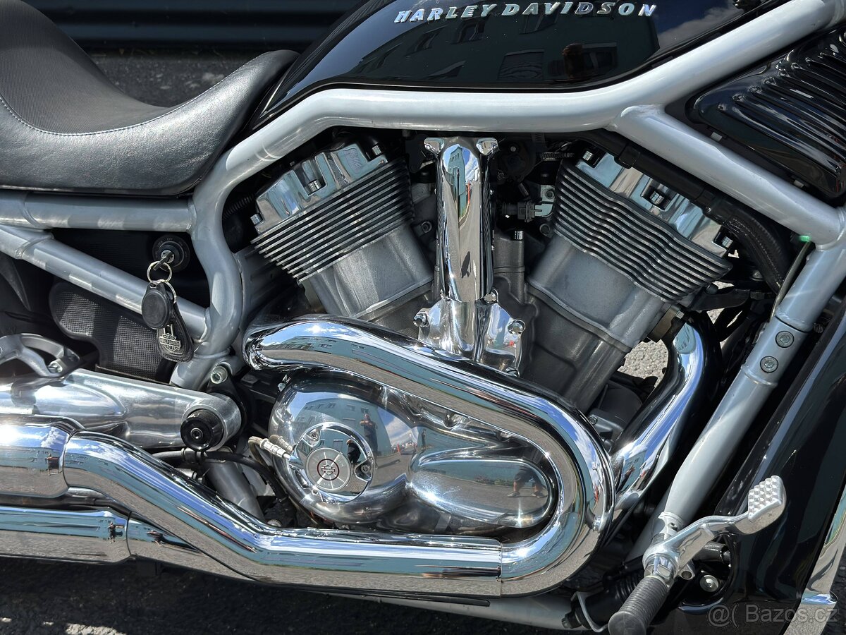 H-D V-ROD (2002) - 8