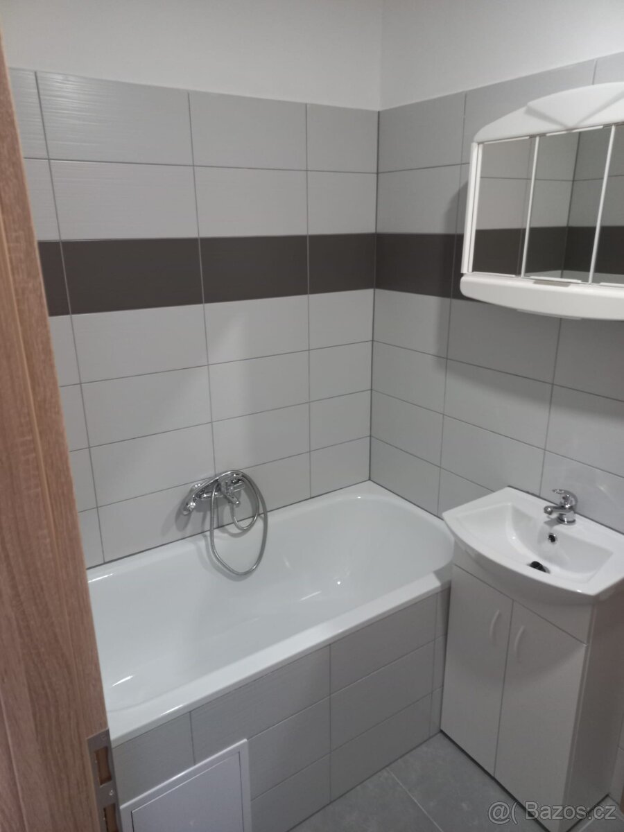 Pronájem bytu 1+1 - 8