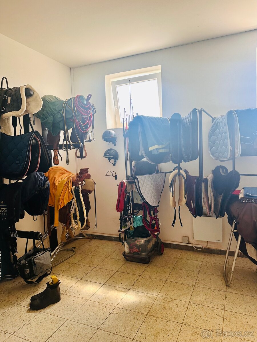 Nabízíme ustájení koně okr. Uherský Brod - 8