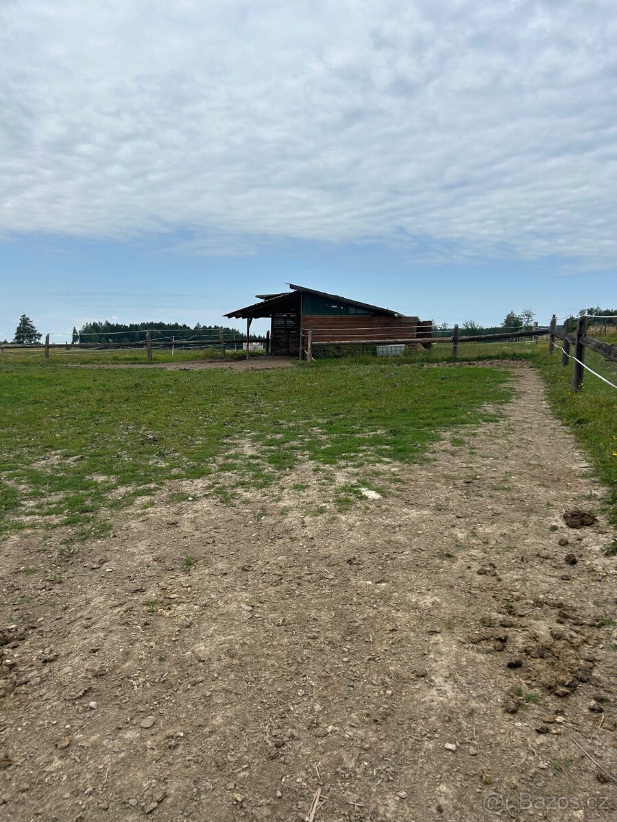 Pastevní areál - 8