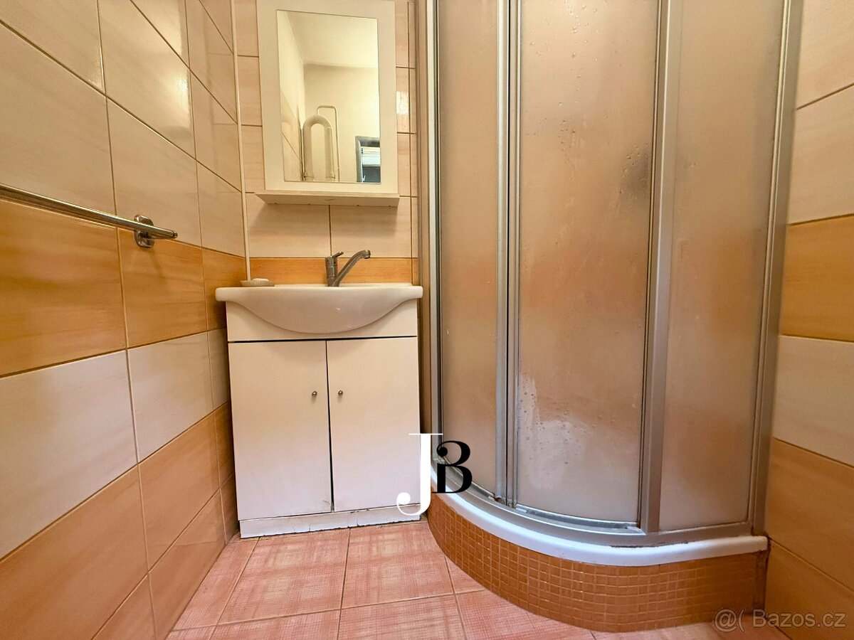 Pronájem byt 2+1 u Aše - 8