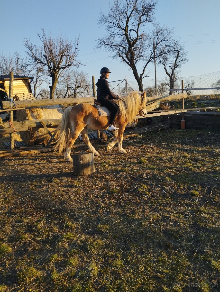 Docházka ke koníkovi - 8