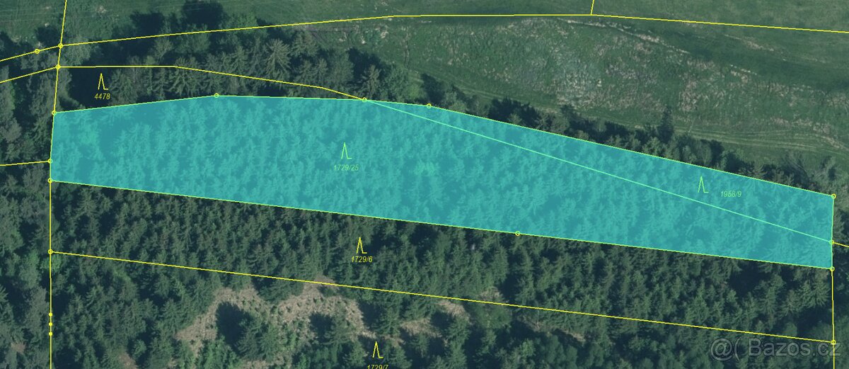 Prodám lesní pozemky v k.ú. Křenovice - 8