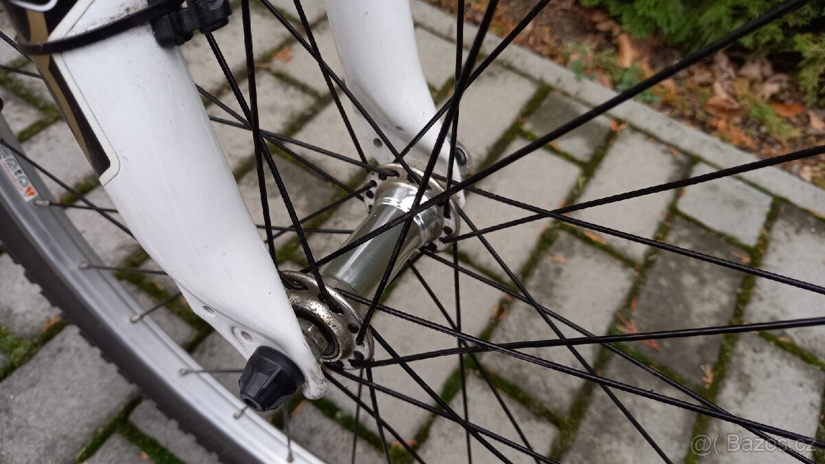 Leader Fox, chlapecké kolo - 8