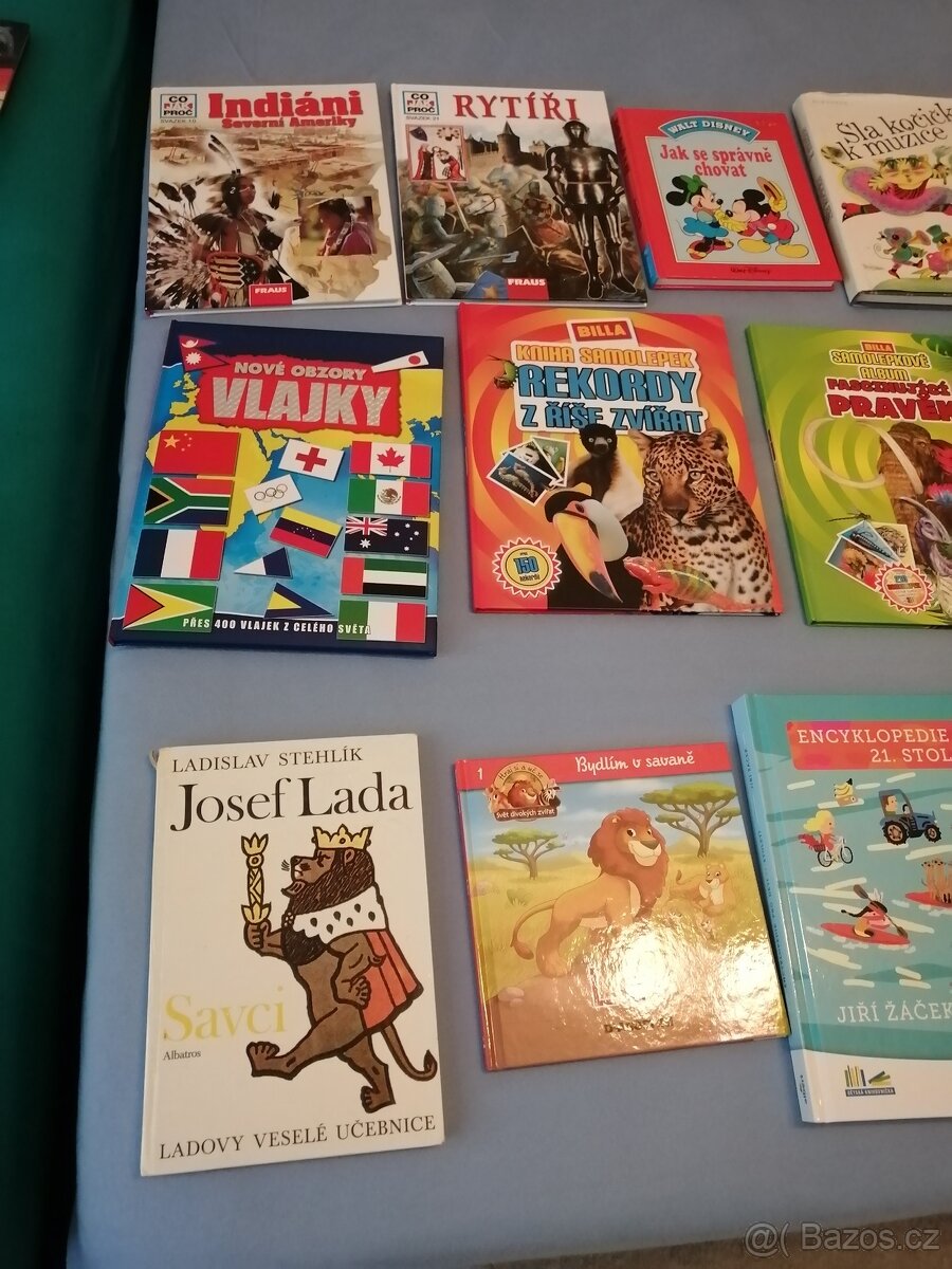 dětské knížky - úklid knihovničky - 8
