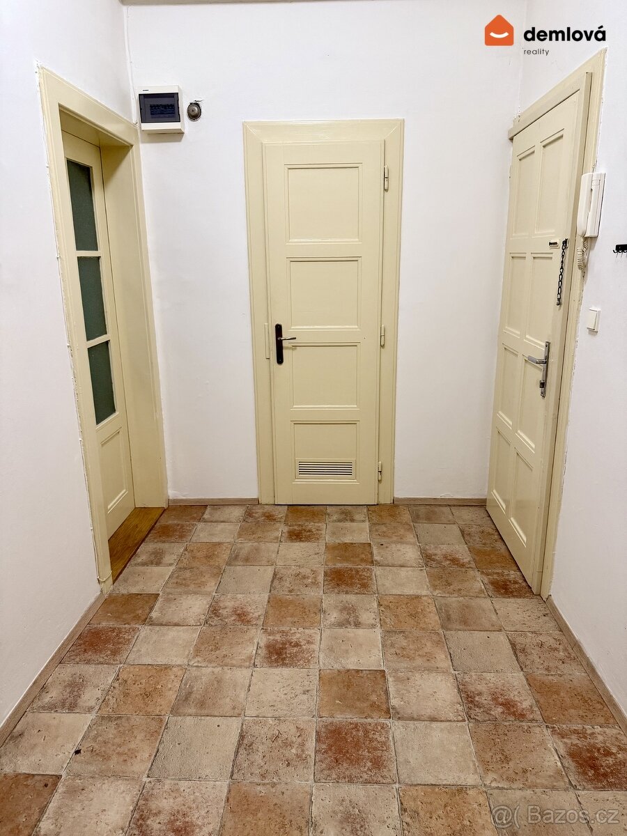 Pronájem bytu 2+1 90m2, Raisova, Praha - Bubeneč - 8