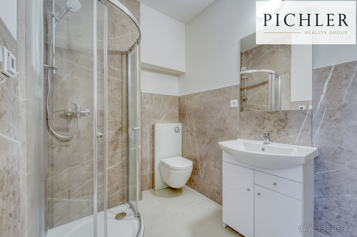 Pronájem bytu 1+KK, Chotěšov - 8