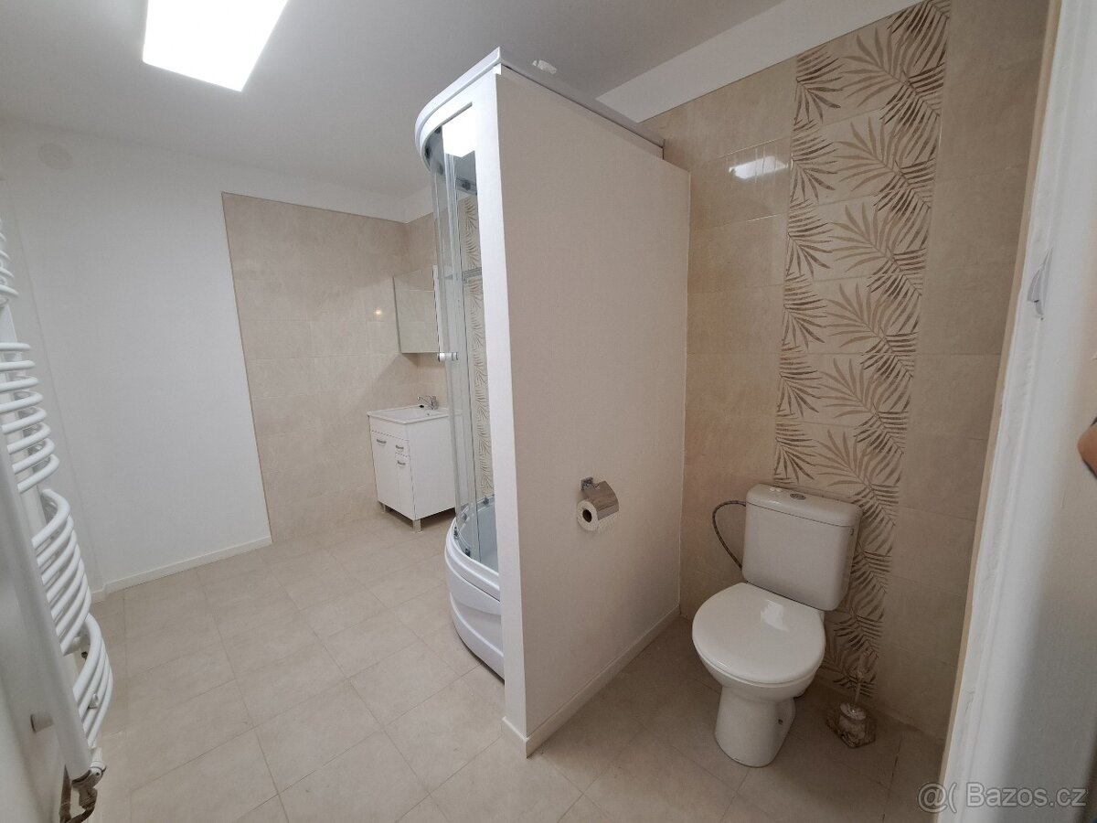 Pronájem atypického bytu 3+1 - 8