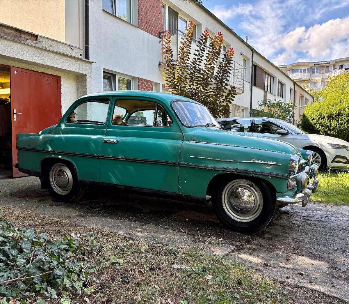 Škoda Octavia 1959 - 8