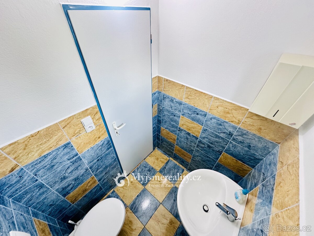 Prodej provozovny s parkovištěm, celková výměra 99 m2 - ulic - 8