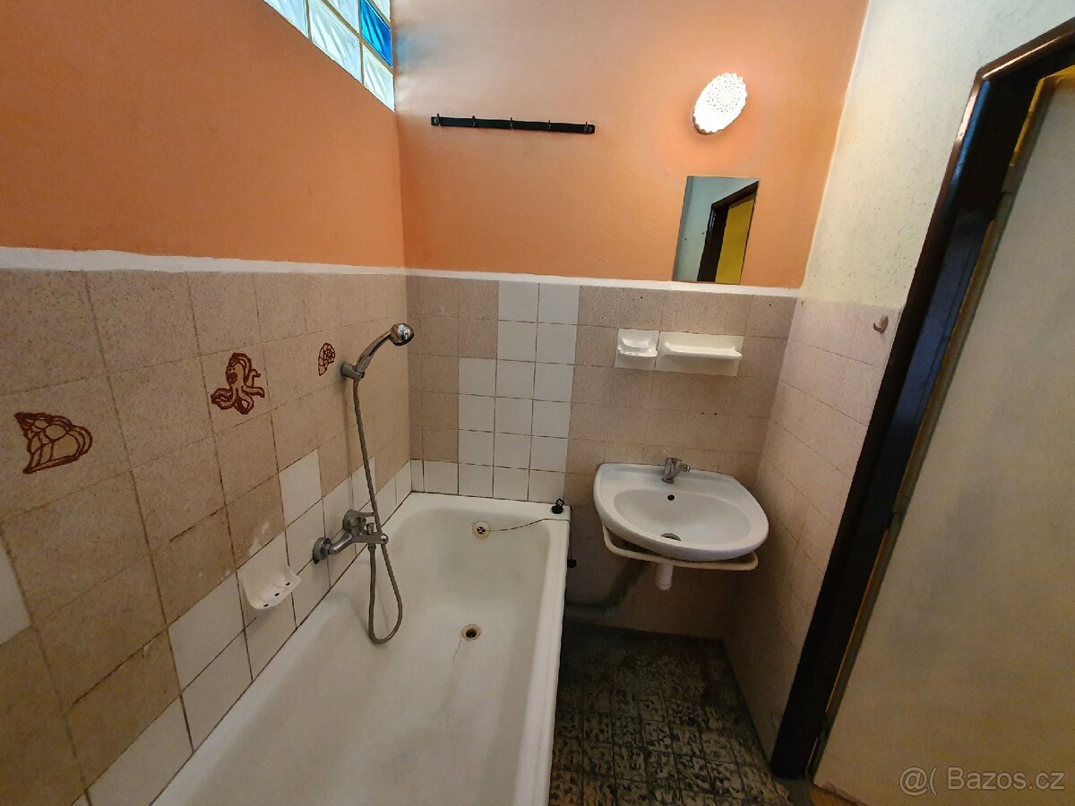 Pronájem bytu 1+1 v Mladé Boleslavi - 8