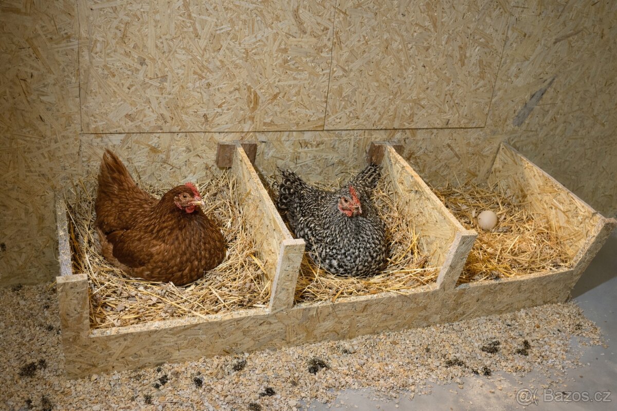 Kurník pro slepice - 8