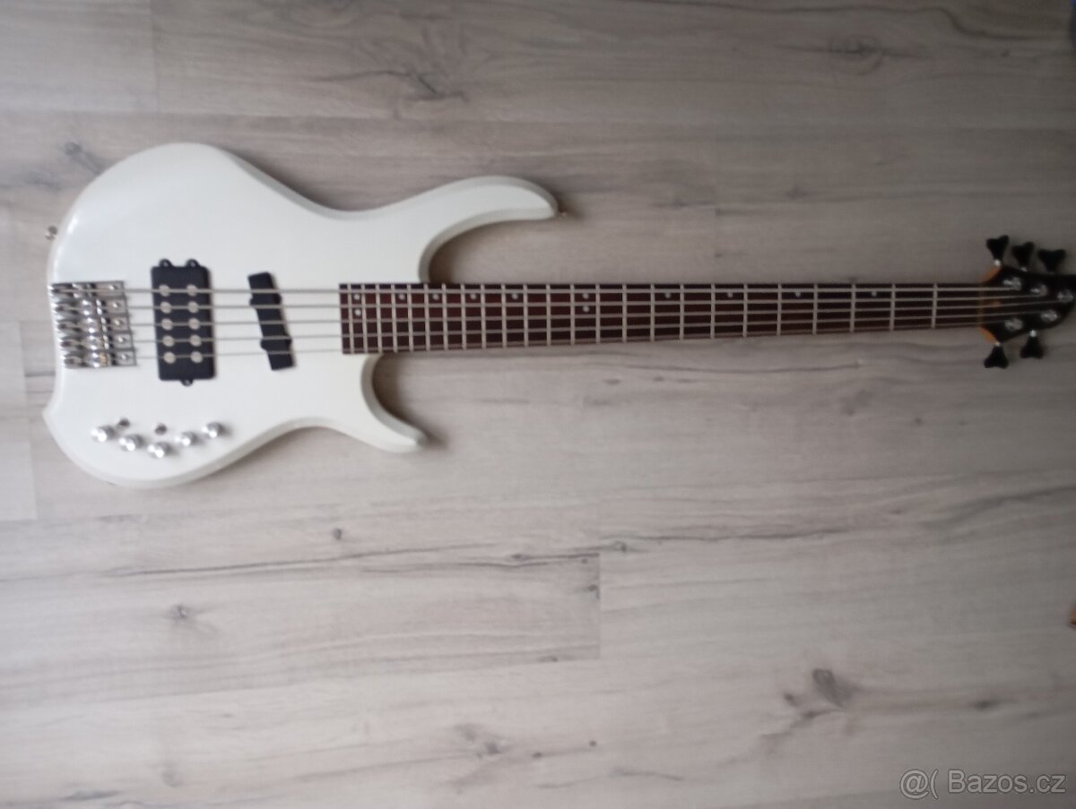 REZERVOVANÉ-5-strunová basgitara - 8
