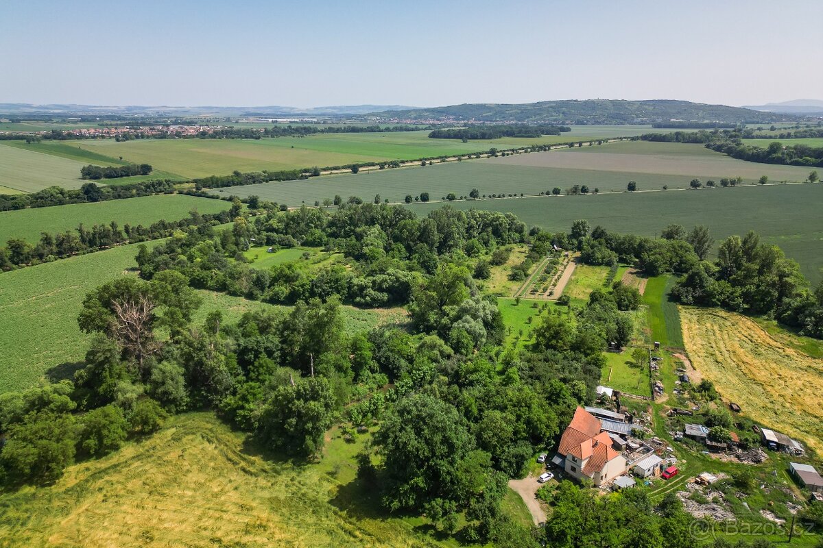 Prodej zahradních pozemků, celkem 5 961 m², Rajhrad - 8