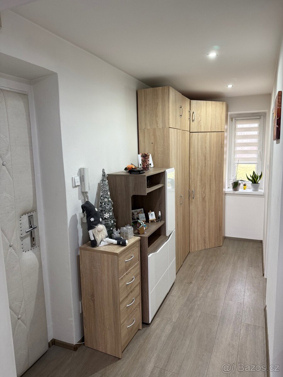 Byt 2+1 Bučovice - 8