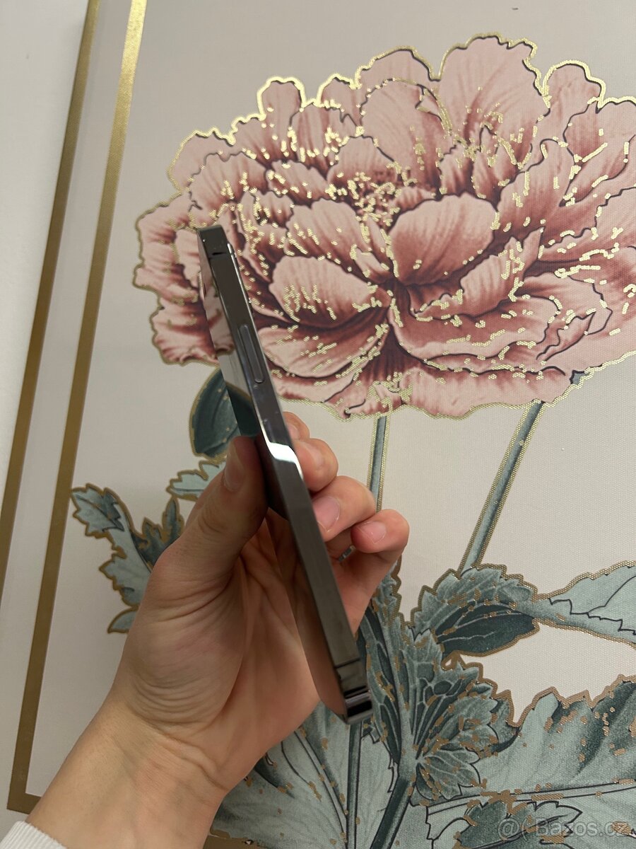 IPhone 12 Pro (128gb) - 8