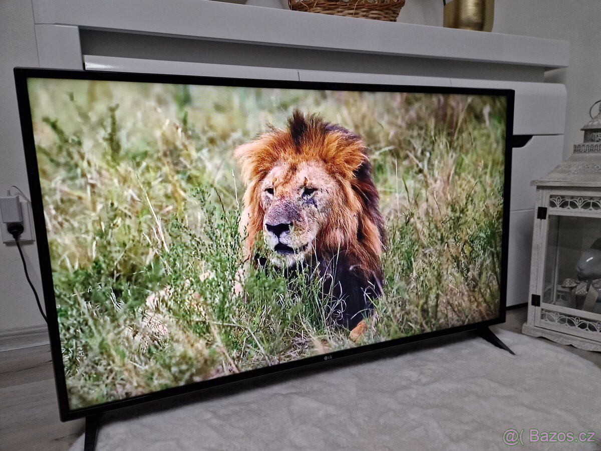 Smart Televize LG 49LJ594V - 8