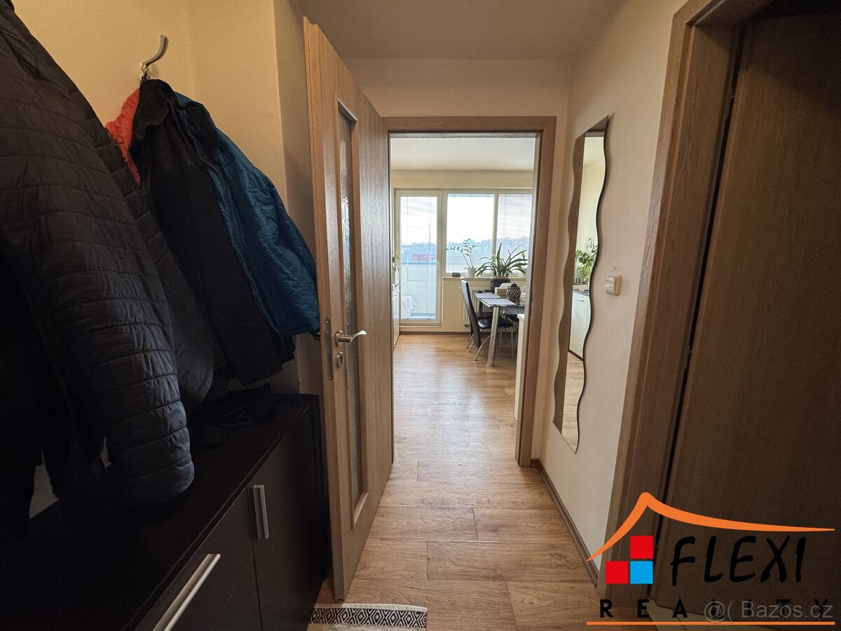 Pronájem částečně zařízeného bytu 1+1 s lodžií, 48m², Moravs - 8