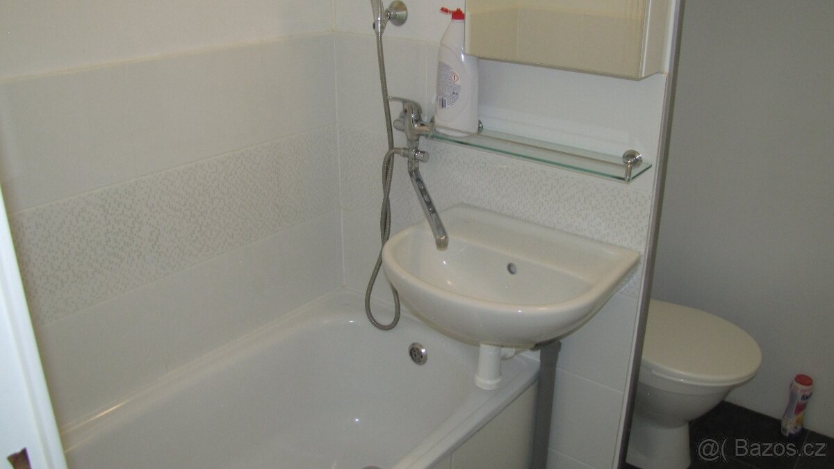 Pronájem bytu 1+1 v Kopřivnici - 8