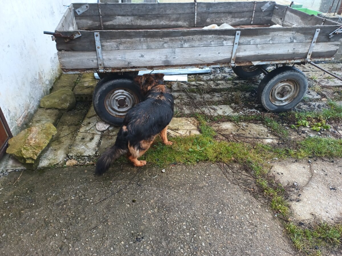 traktor 5211 vlek, brány, čert na brambory, nakladač - 8