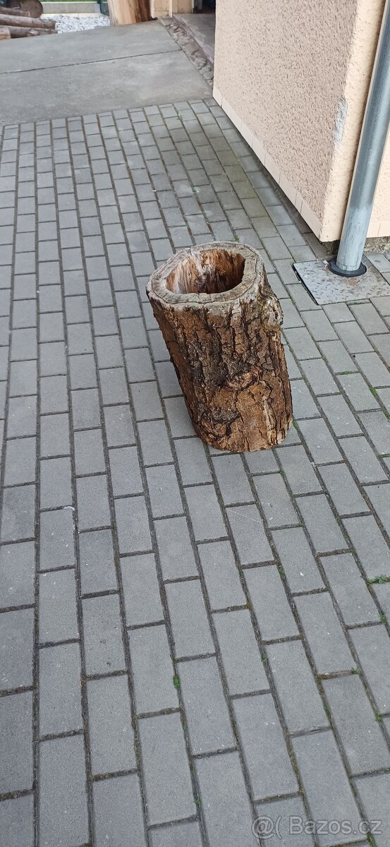 Dutý kmen - 8