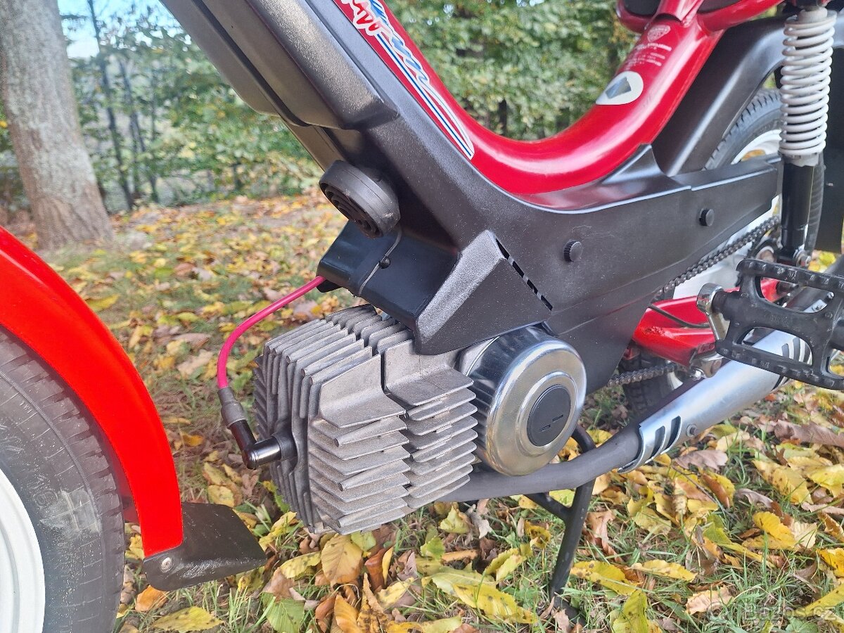 Manet korado v pěkném stavu - 8