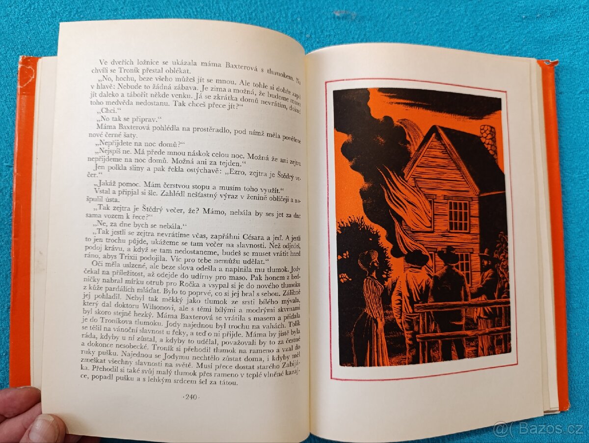 DÍTĚ DIVOČINY - M.K.Rawling - 8