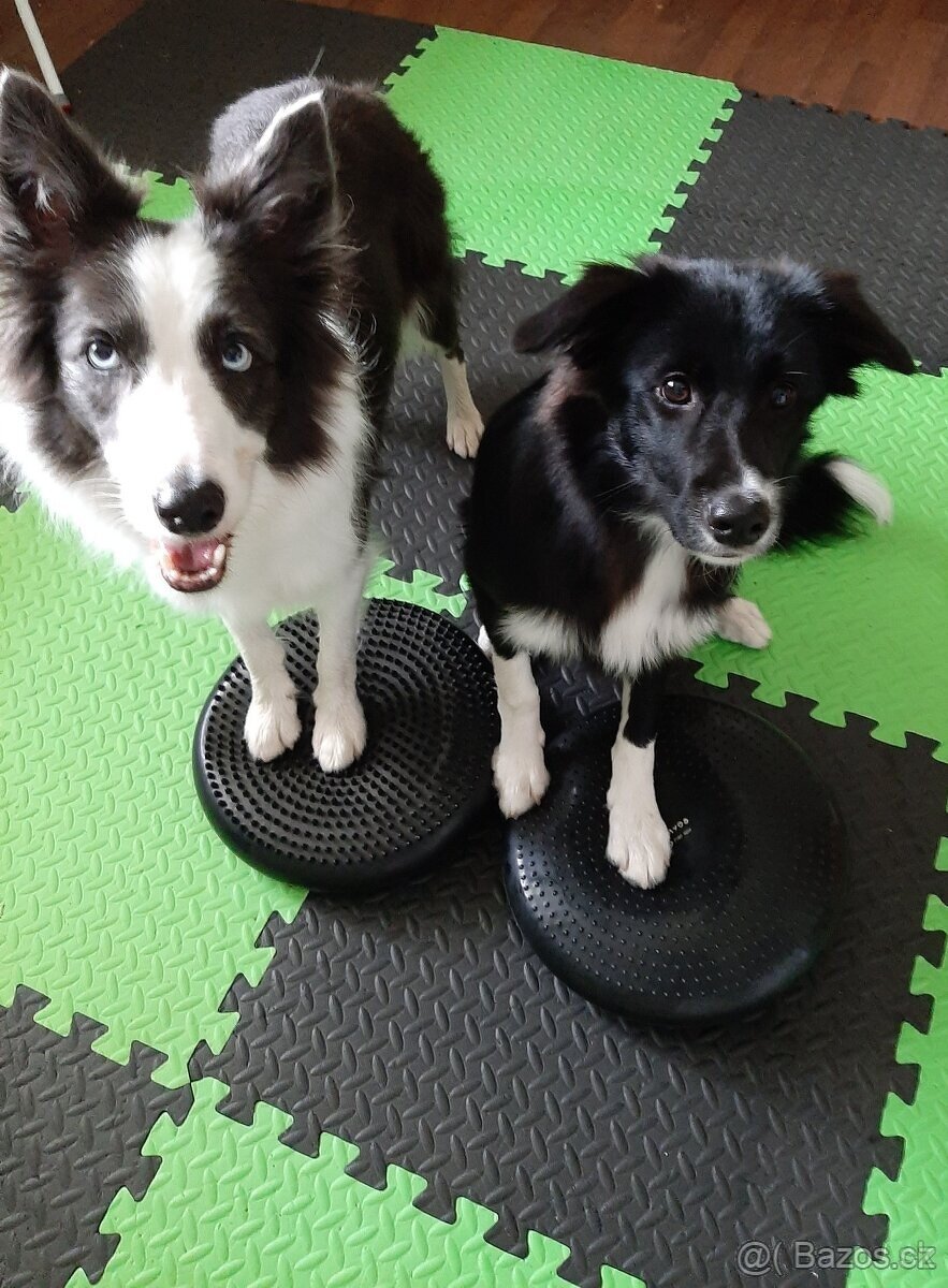 Barevná puzzle podlaha - 8