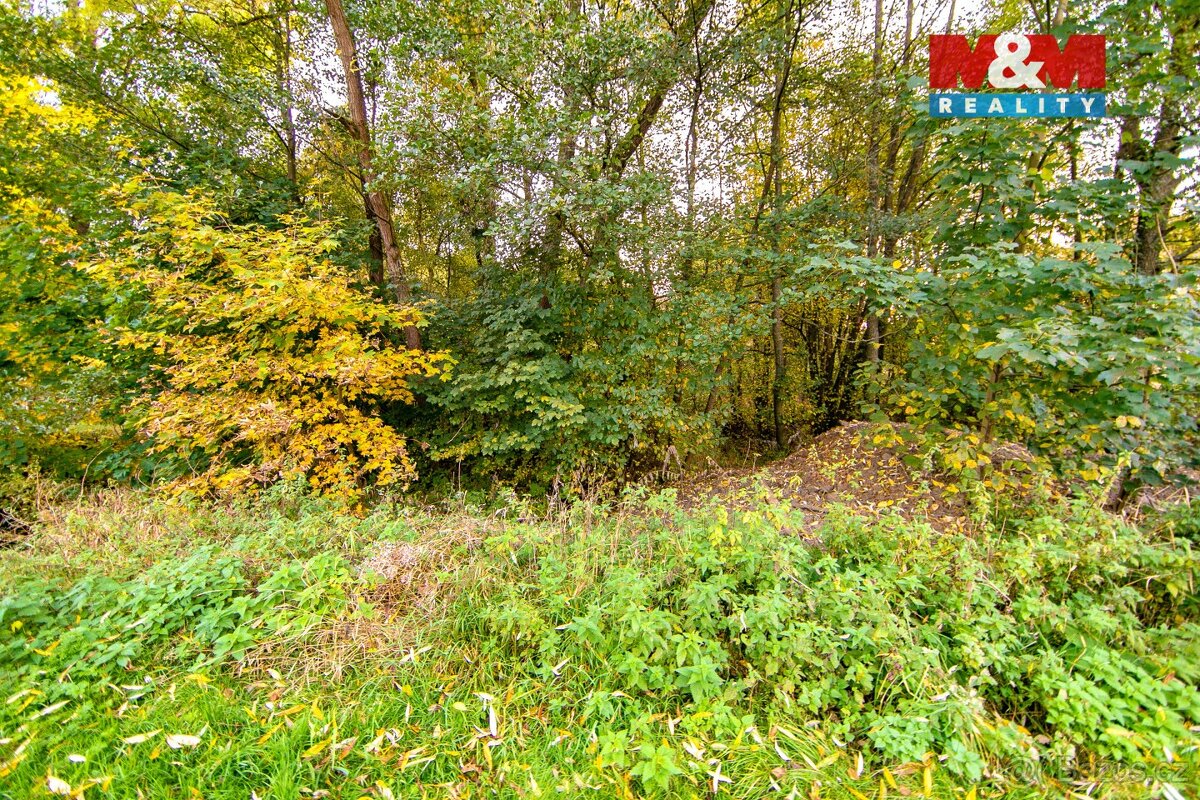 Prodej pozemku 1446 m², Stará Voda - 8