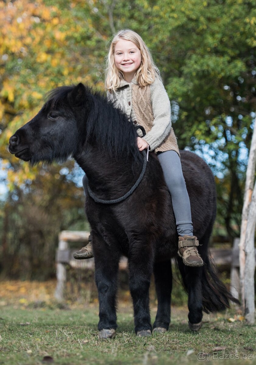 Minihorse kobylka a valach - 8