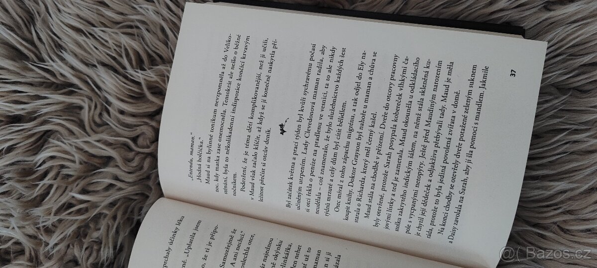 Děs sídla WAKE'S END - 8