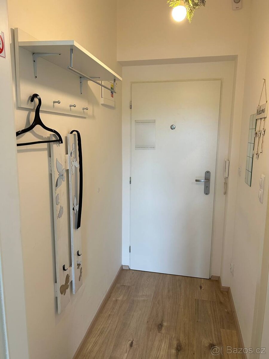 krásný byt 1+kk, 20m2 v ul. Budějovická, Praha 4 - Michle - 8