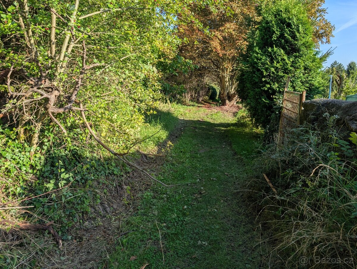 Stavební parcela Jenišovice 1293 m2 - 8