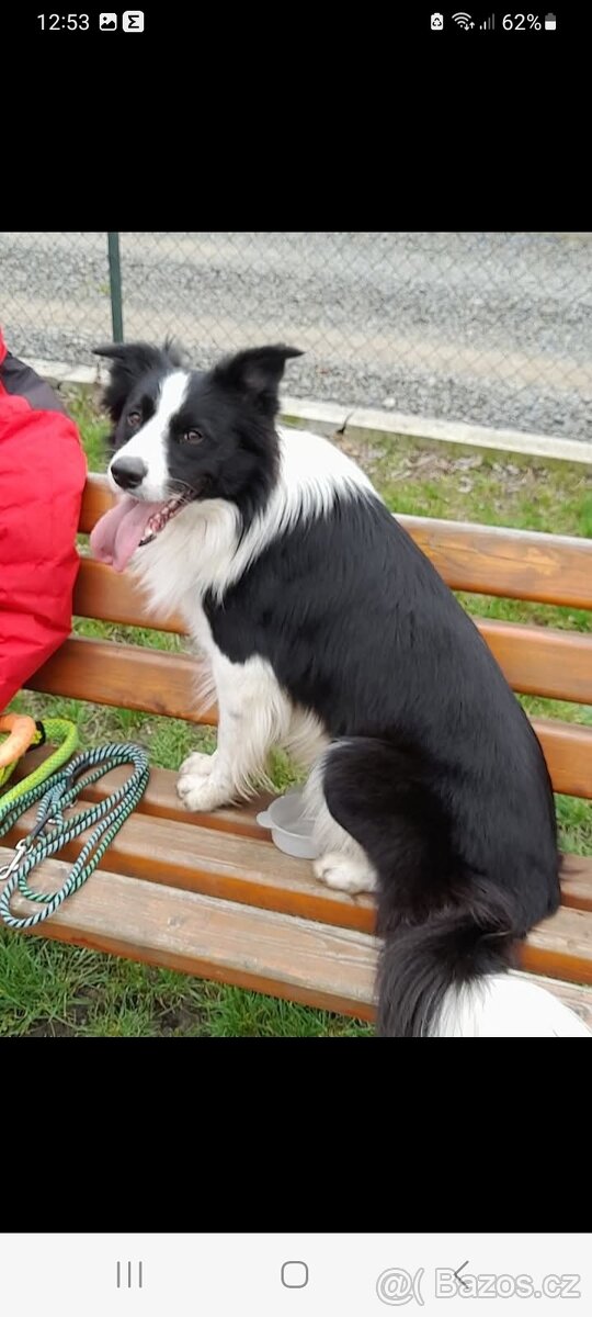 Nabidka kryti bez pp - 8