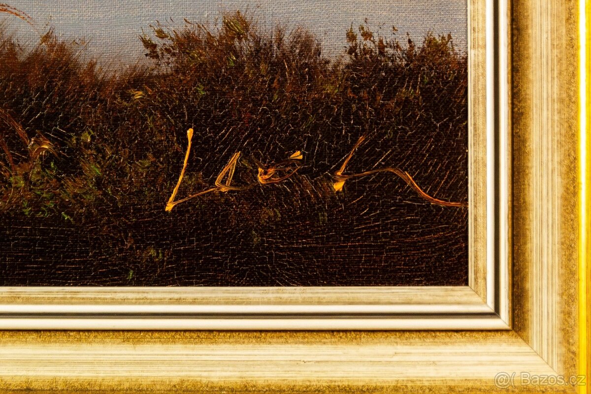 Neziderské jezero, sign.Leon, 1130 × 460 mm - 8