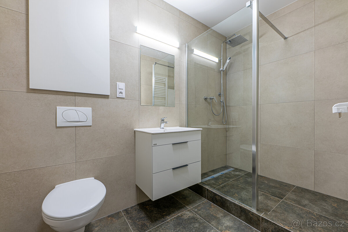 Pronájem, byt 1+kk, 54 m², Plzeň - Bolevec, ul. Plaská - 8