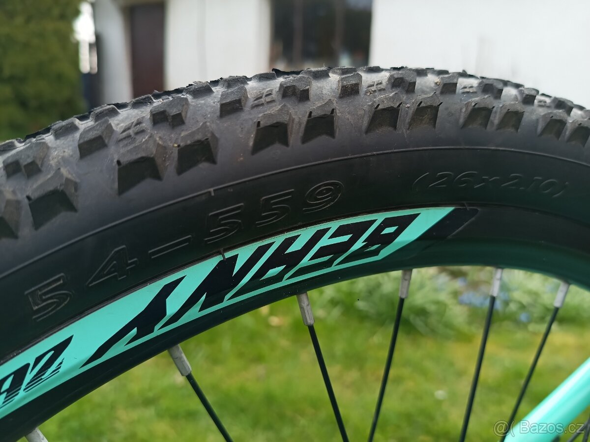 Kolo BEANY 26“ - 8