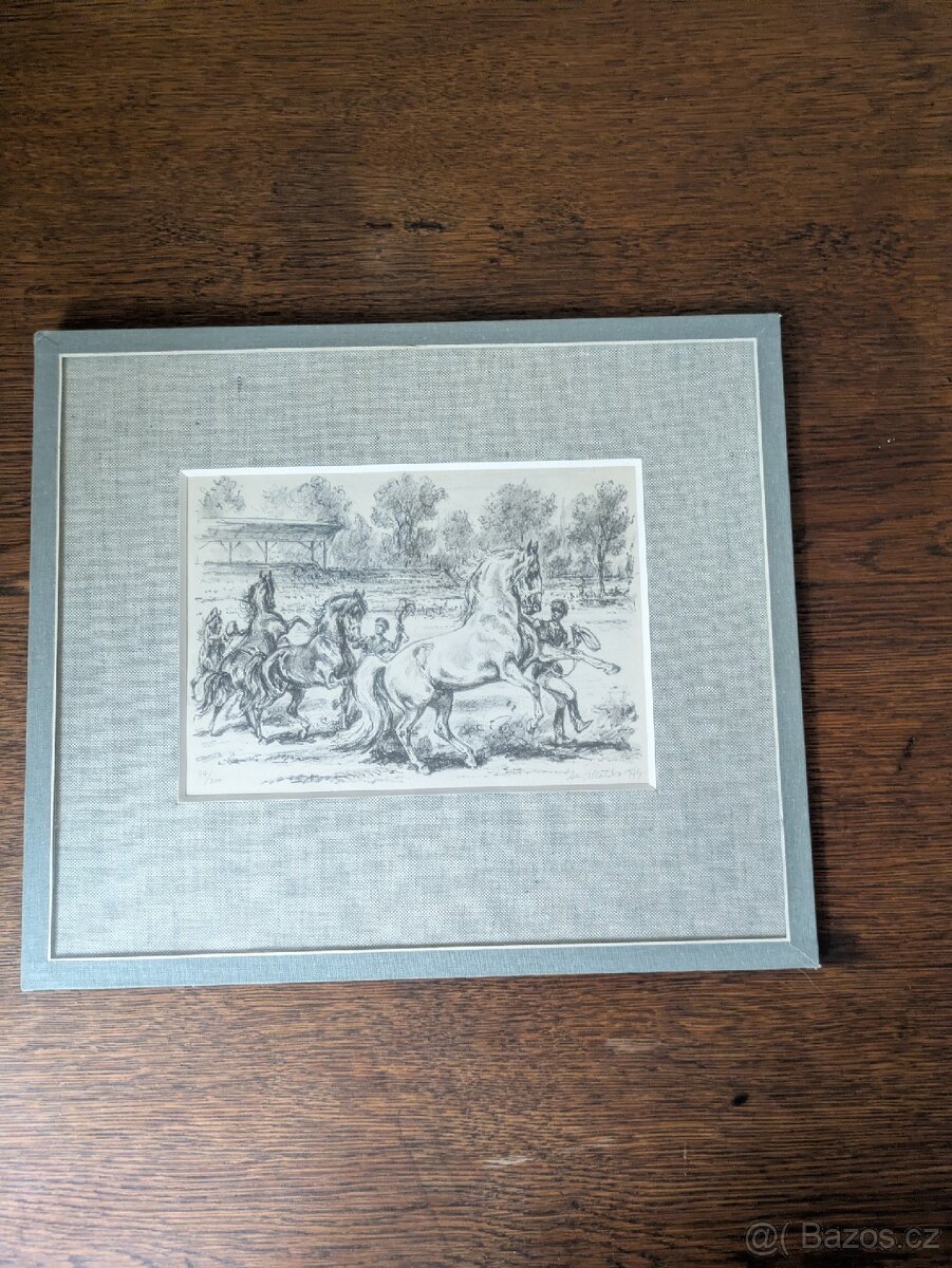 Obrazy k Prodeji kolekce - 8