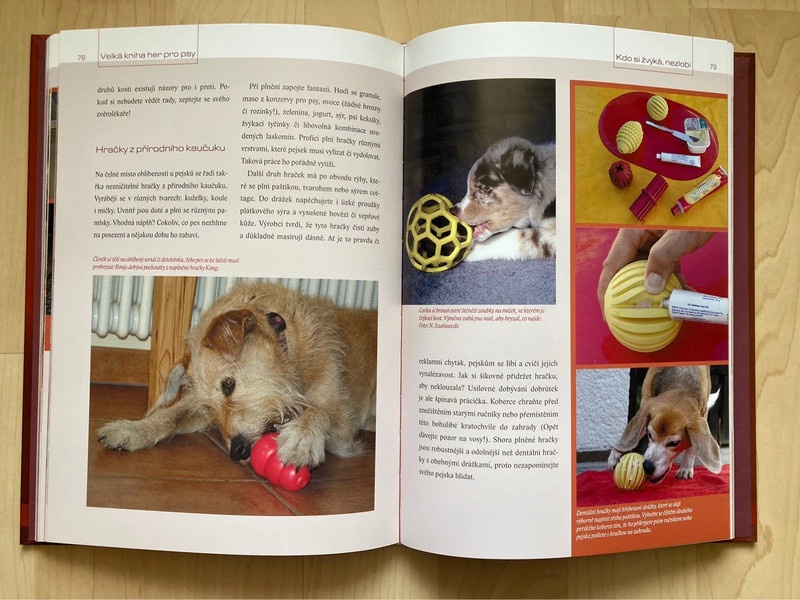 ☘️ Velká kniha her pro PSY ☘️ - 8