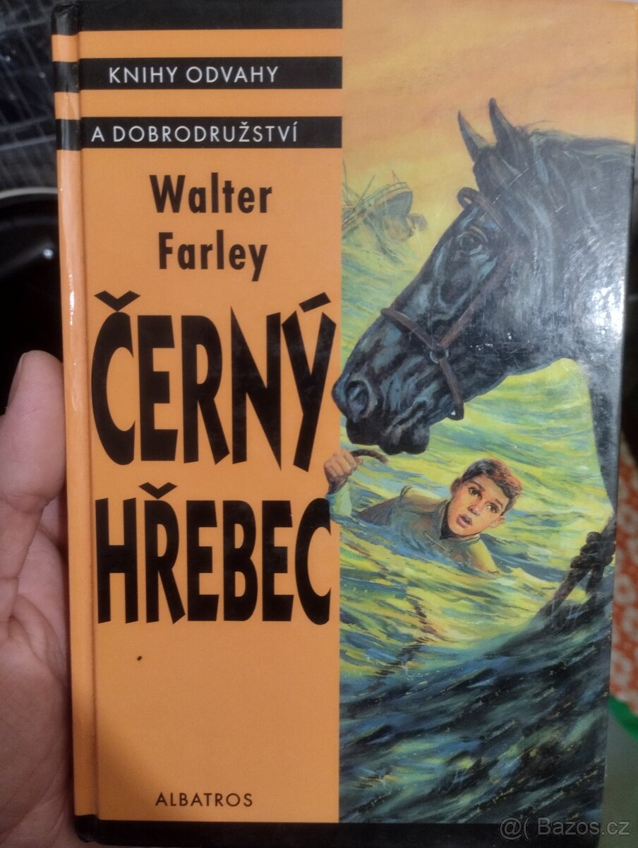 Knihy, beletrie, encyklopedie - 8