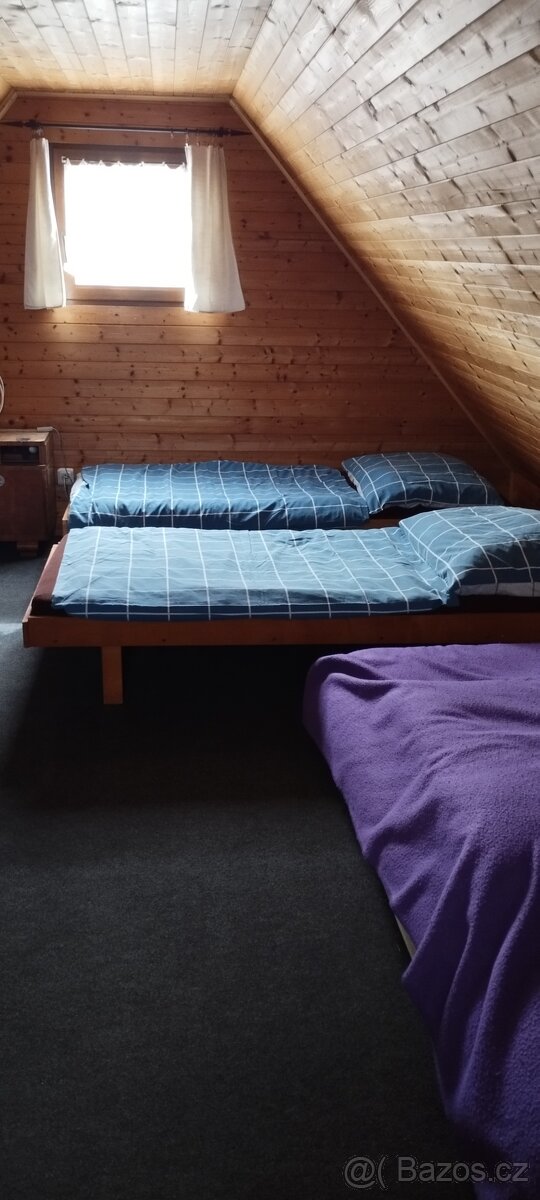 Velké Bílovice-pronájem chaty s loďkou - 8