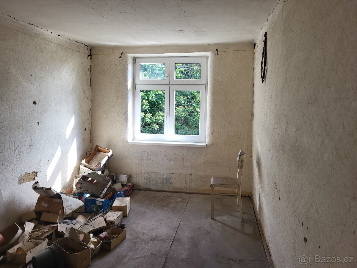 Prodej RD k bydlení i podnikání v Sopotnici - 8