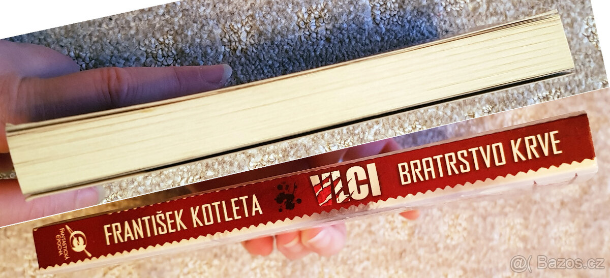 Zaklínač I (Sapkowski), Underground, Vlci (Kotleta) - 8