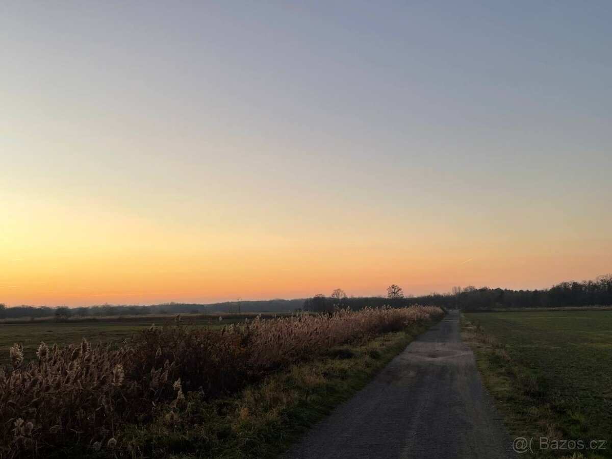 Veľký Pozemok 45 172 m² pri Malých Levároch - 8