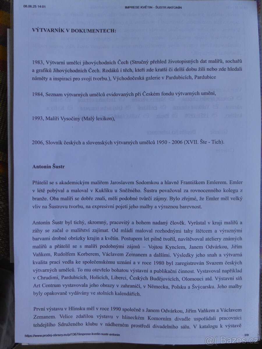 Zátiší chryzantémy Antonín Šustr 12.6.1923 - 8