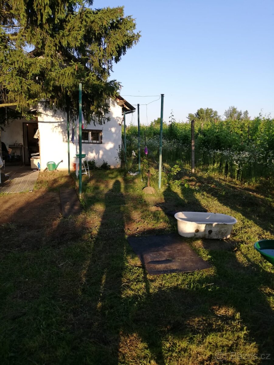 Prodej chaty s pozemkem - 8