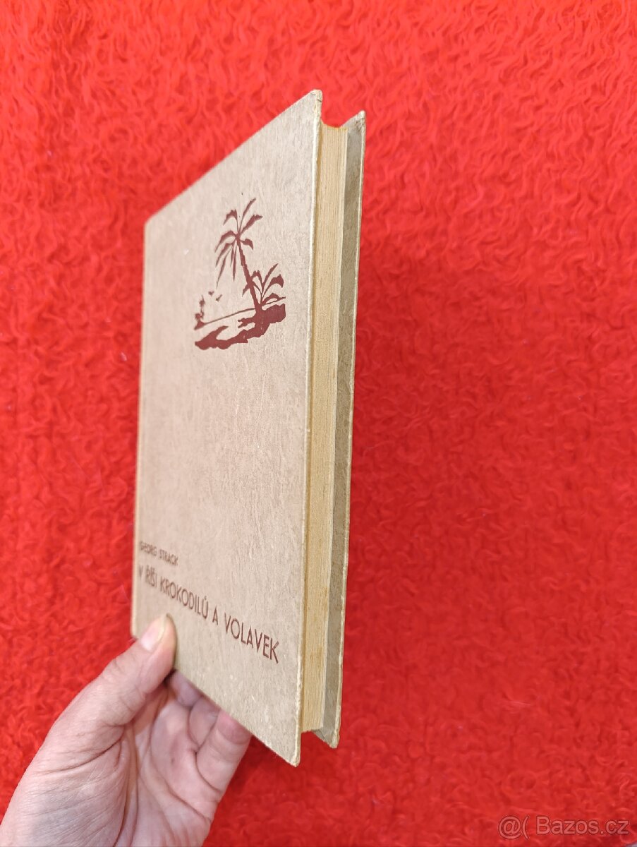 V ŘÍŠI KROKODILŮ A VOLAVEK - Georg Strack - 8