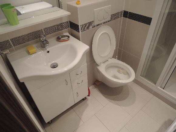 Pronajmu garsonku v Plzni - 8