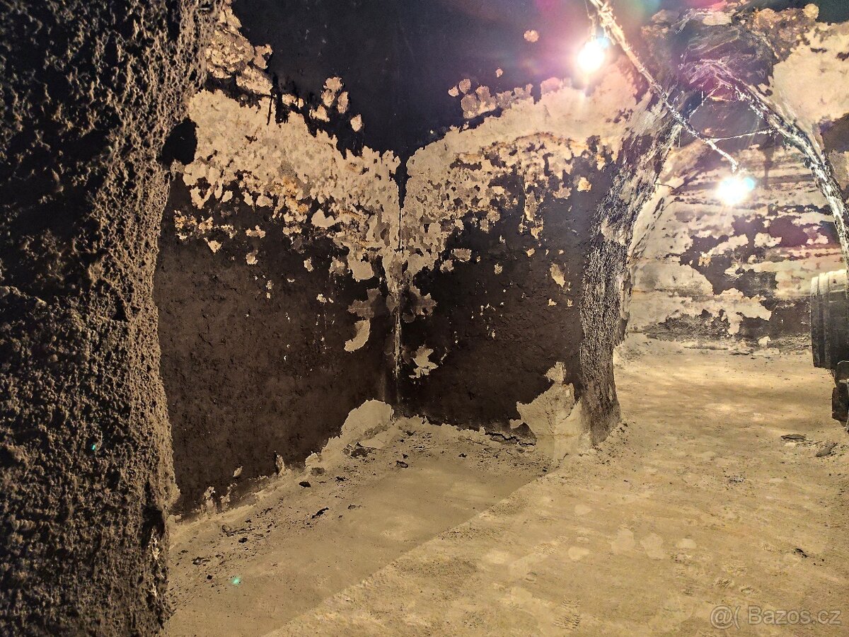 Pronájem, vinný sklep s lisovnou, Nový Šaldorf - 8