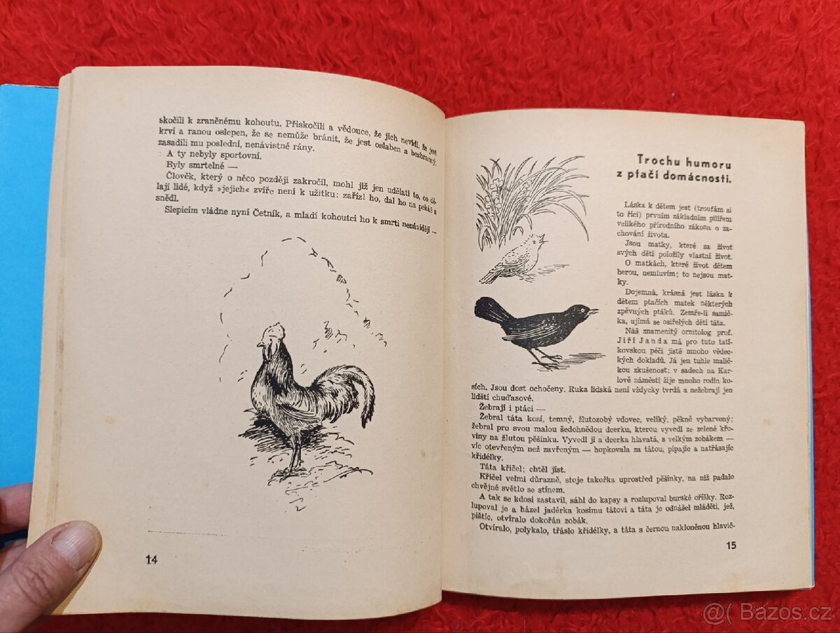 CESTOU A CESTIČKOU - J.H.Týnecký - 8